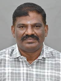 DP